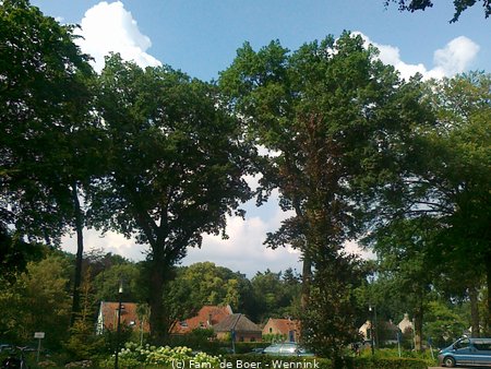 07-27 Rustdag